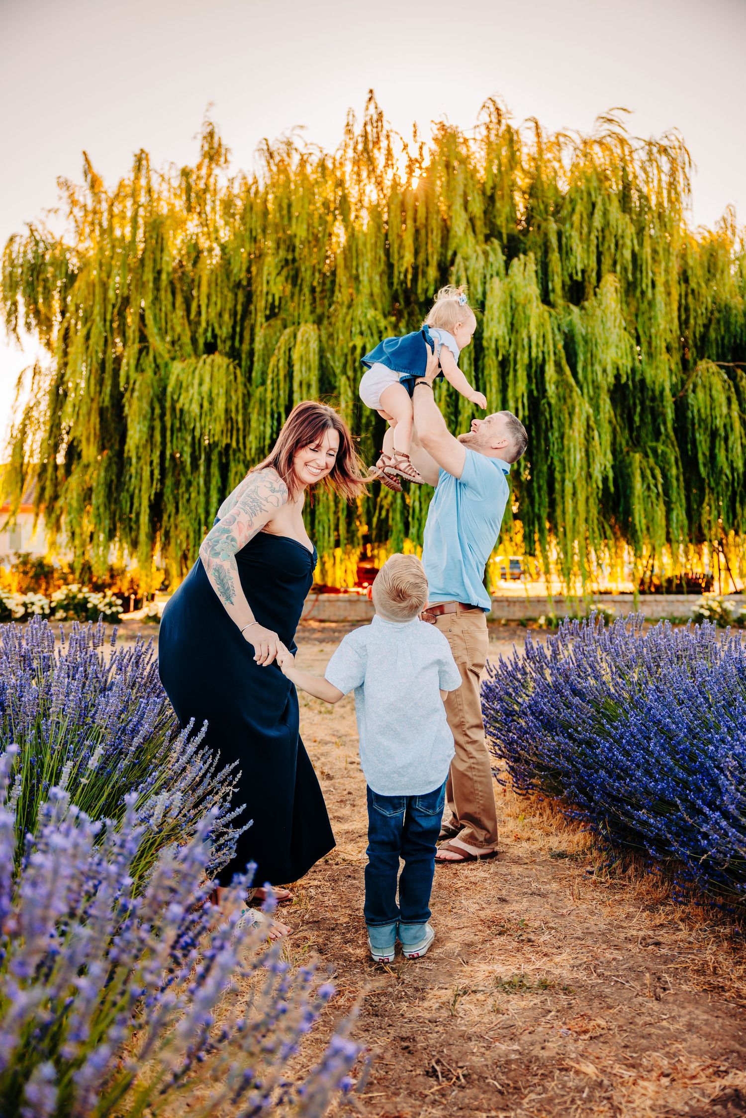 A couple dances together between rows of blooming purple lavender flowers at sunset with willow trees in the background.