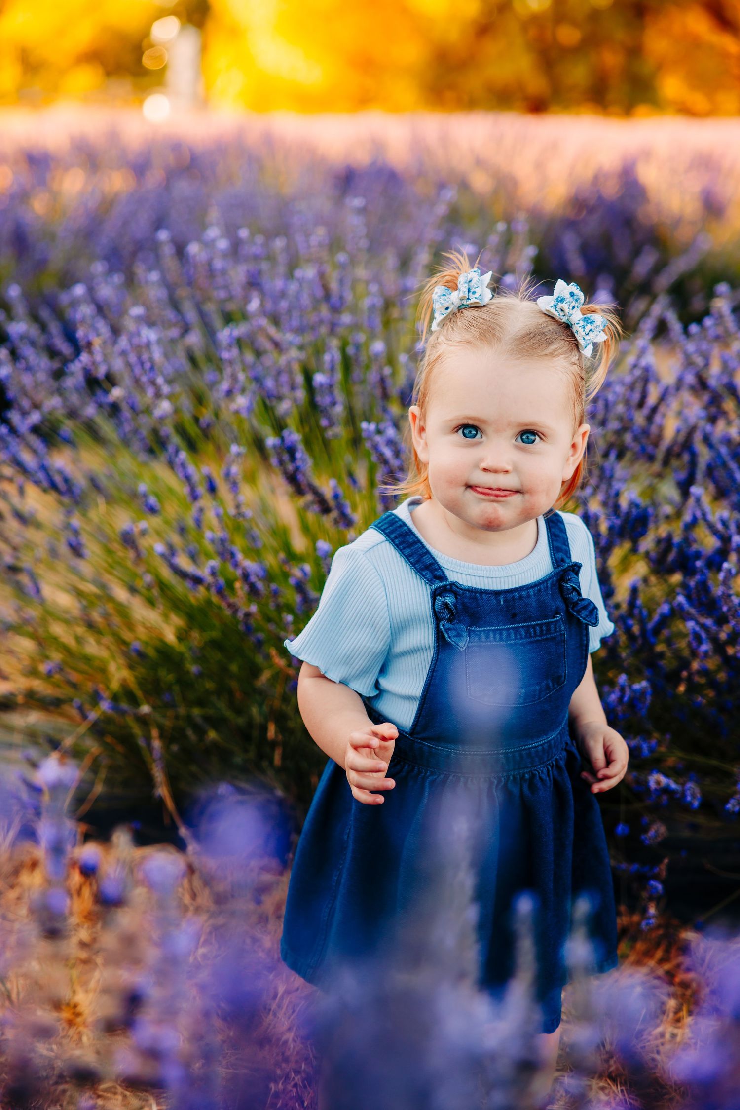 A toddler in blue overalls stands among blooming purple lavender flowers during golden hour.