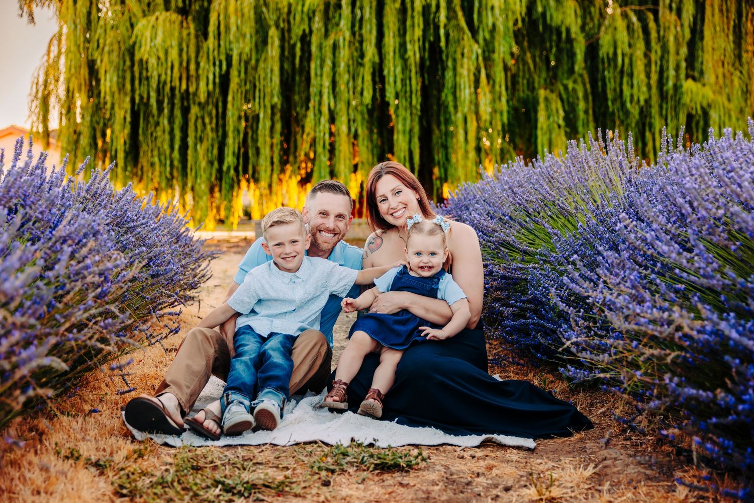 Family relaxing together in a lavender field during golden hour sunset with willow trees in background.