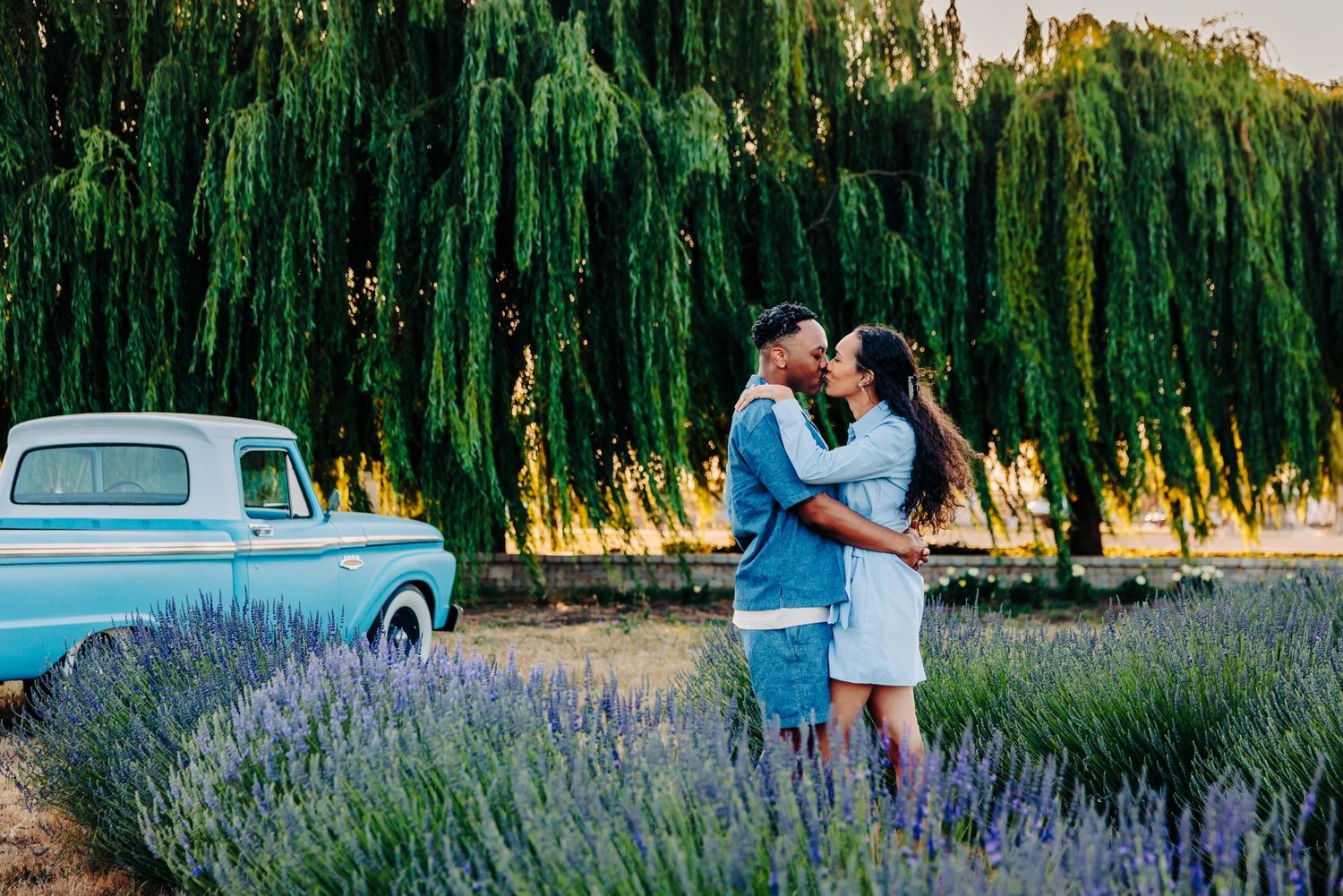A couple stands together in a field of purple lavender flowers with willow trees and a vintage blue truck in the background.
