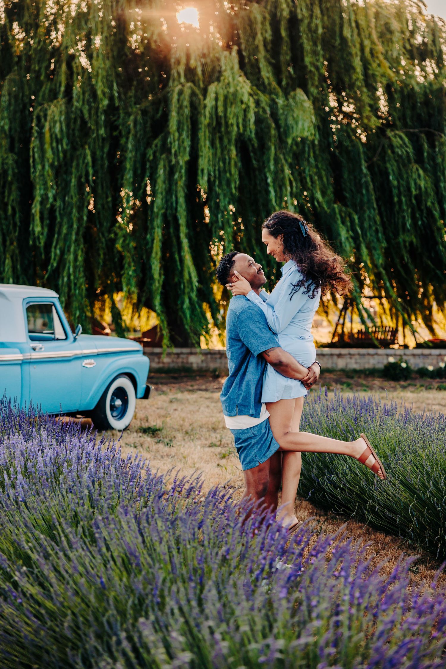 A couple embraces in a blooming lavender field with a classic blue pickup truck and willow trees behind them.
