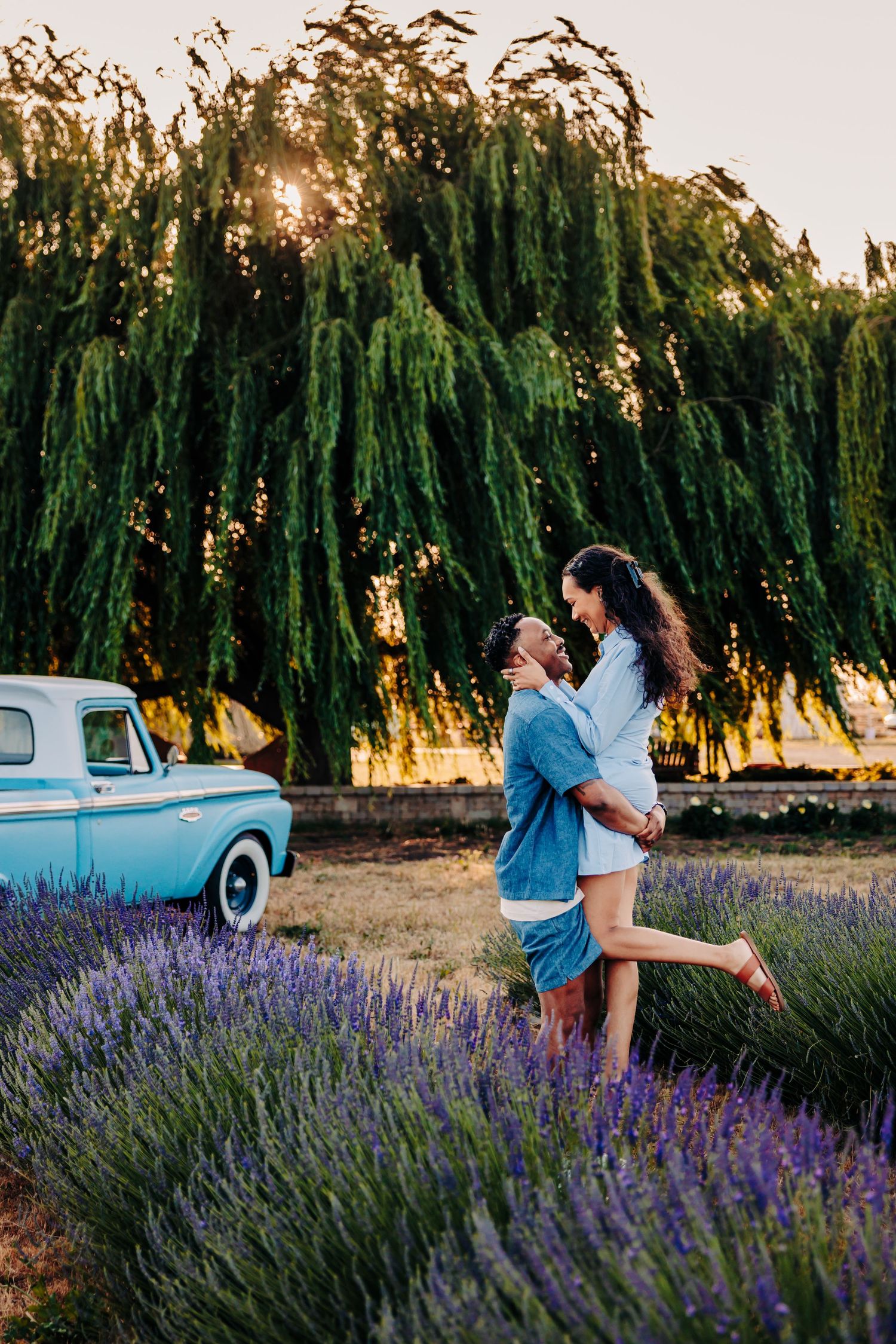 A romantic moment in a lavender field at sunset with a vintage blue truck and weeping willows in the background.