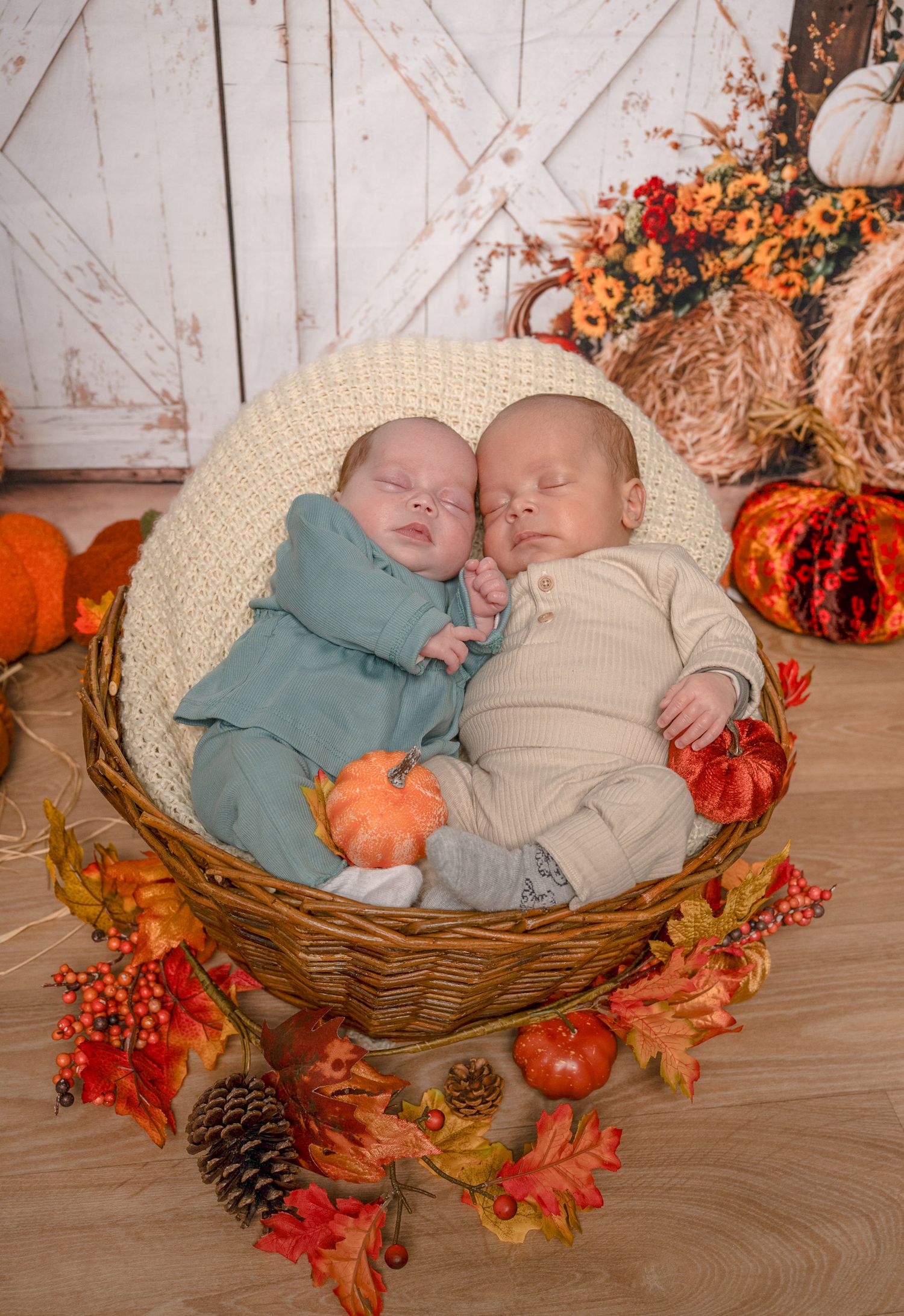 Two babies sleeping in a woven basket decorated with autumn leaves, pumpkins, and pinecones.