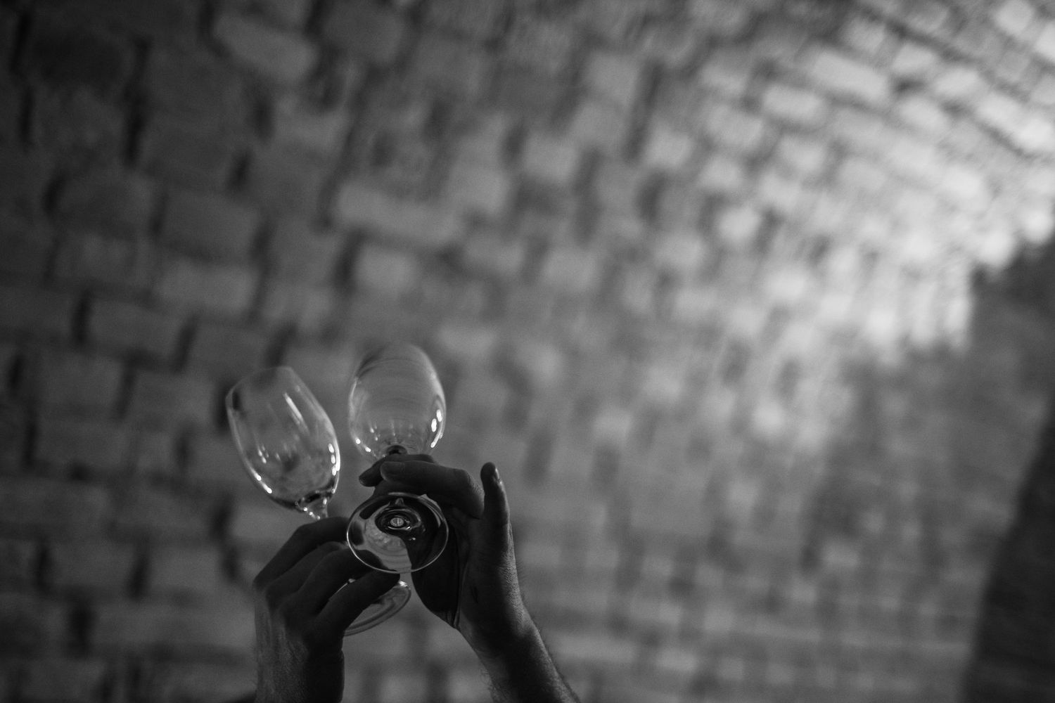 fotografie michal schneider foto photo photography cena produkt brand servis identita víno vinařství hfz hudebni festival znojmo