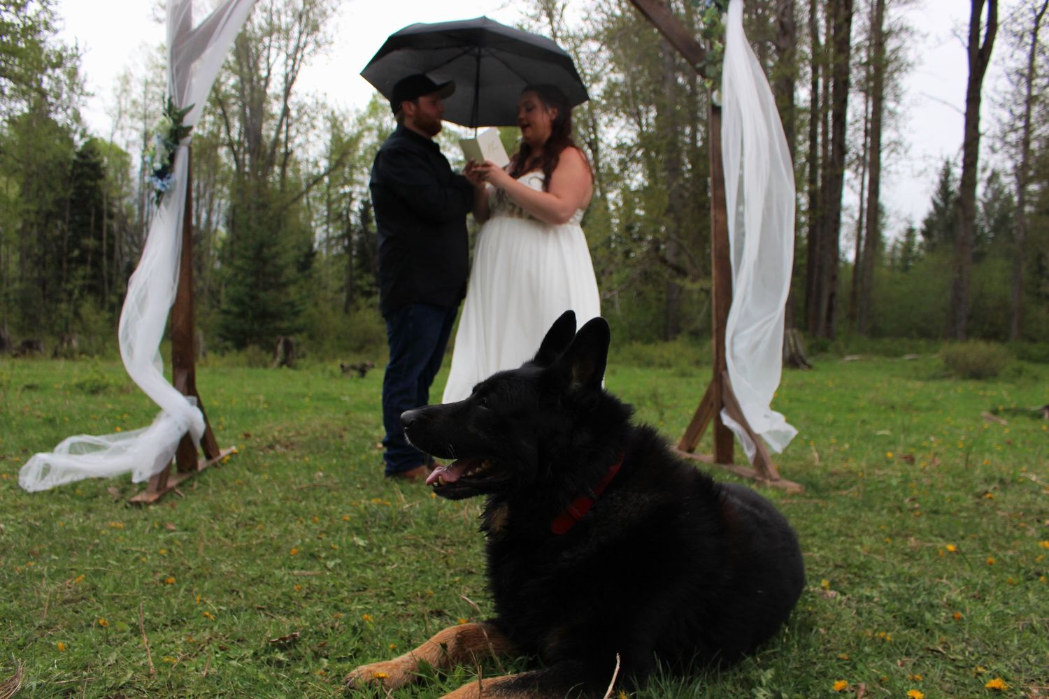 Caitlyn & Cori - Nanton