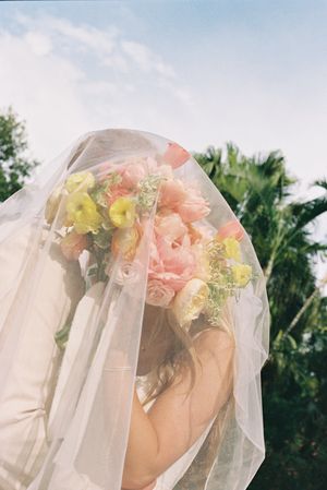 Delicate floral arch decorated with pink roses and white tulle against a blue sky.