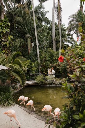 Tropical garden pond with pink flamingos surrounded by lush palm trees.