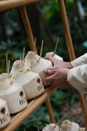 Fresh coconut drinks with straws arranged on wooden shelves at a tropical wedding.