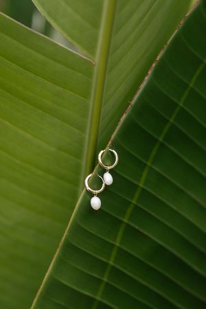 Wedding rings and pearl earrings artfully arranged on a large tropical banana leaf.