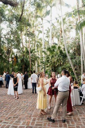 Wedding guests gather on a brick patio surrounded by tropical palm trees during an outdoor reception.