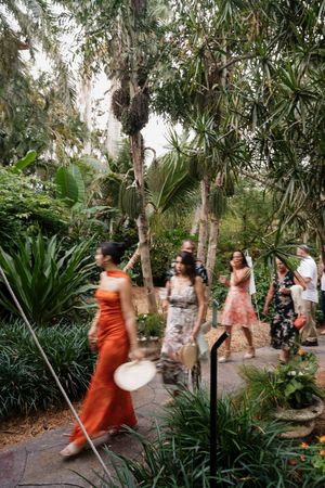 Wedding guests walk along a tropical garden path with palm trees and natural foliage.