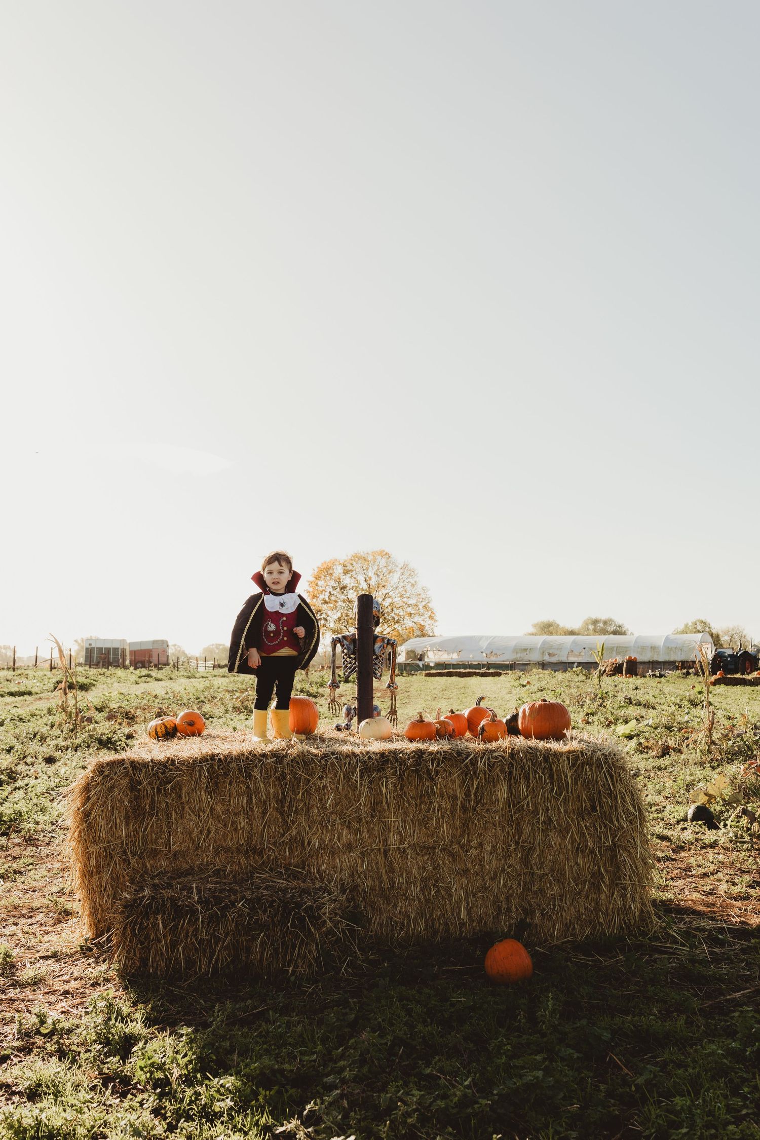 Pumpkins arranged on rustic hay bales in a rural farm setting during autumn harvest season.