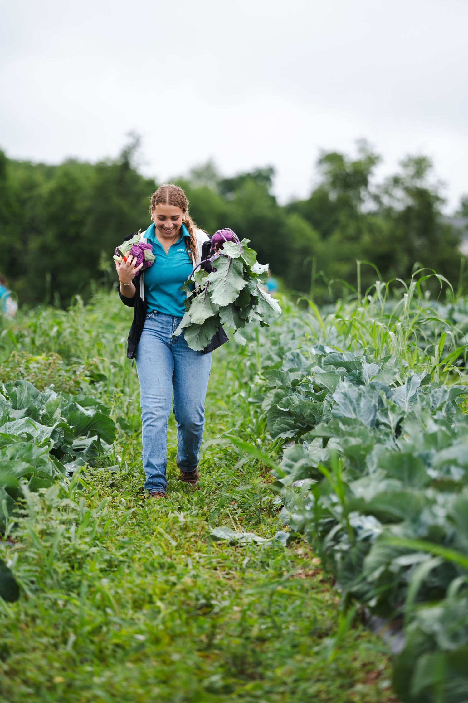 People pick fresh vegetables from a lush garden on a summer day.