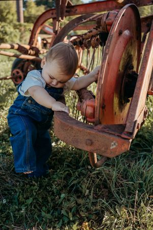 A series of photos showing exploration around vintage farm equipment in warm afternoon light.