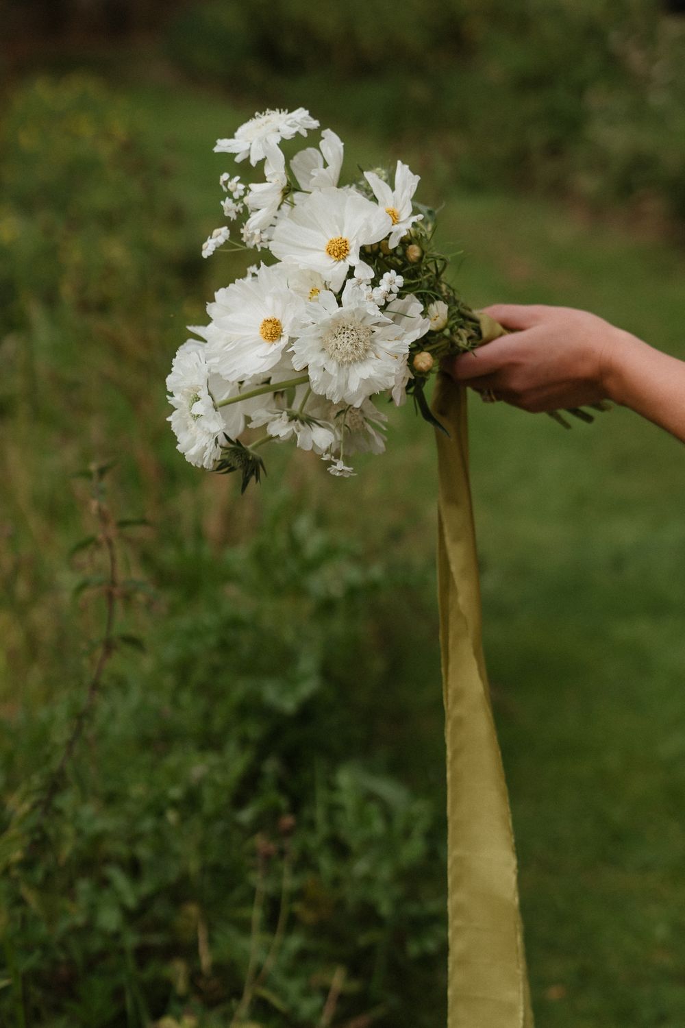 A hand gently touches delicate white daisy flowers blooming atop a tall yellow stalk in a garden setting.