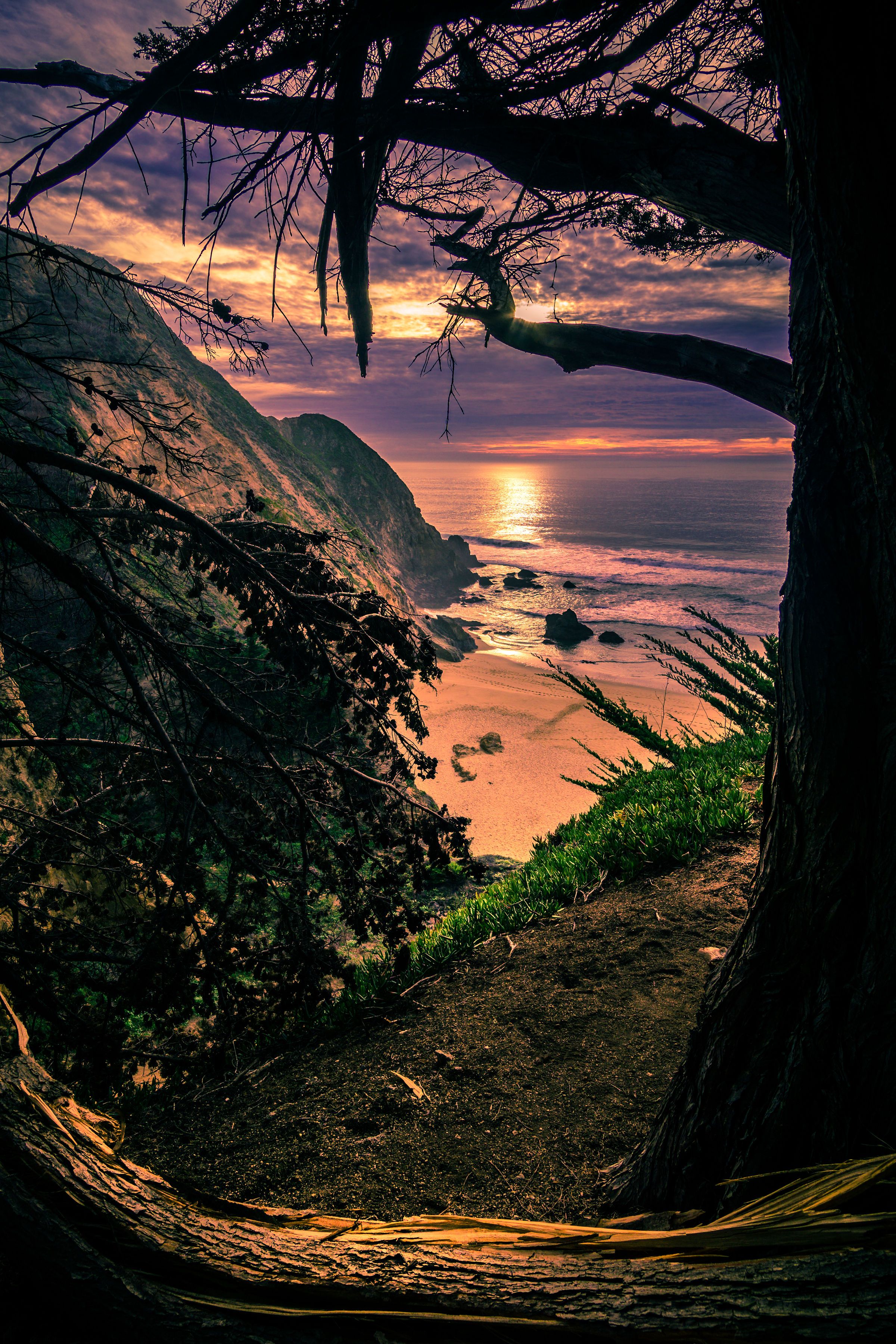 Scenic sunset panorama captured through rocky cave opening with ocean views and silhouetted tree branches framing the horizon.