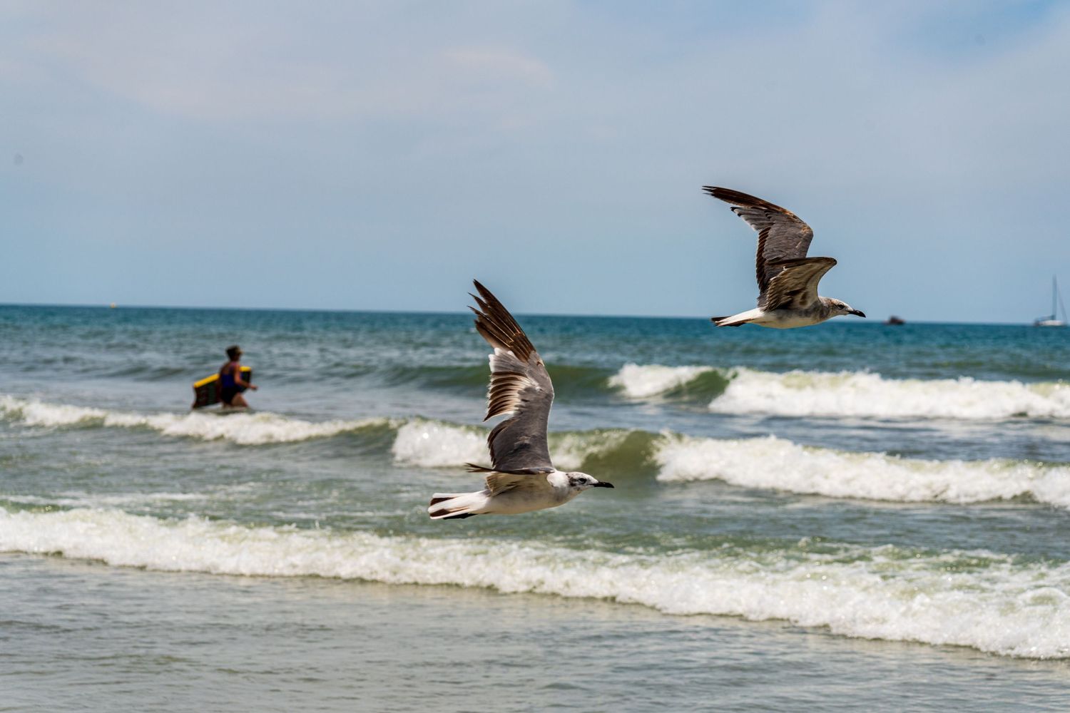 Multiple Seagulls glide over ocean waves in sequence showing their graceful flight pattern near the shoreline.