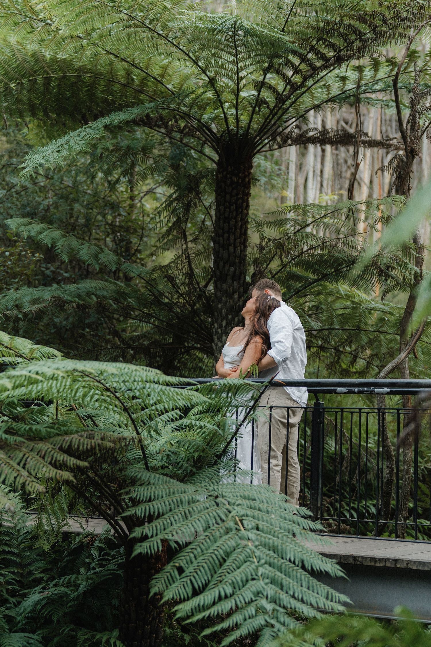 Romantic couple shares intimate moment on bridge surrounded by towering tree ferns in rainforest setting.