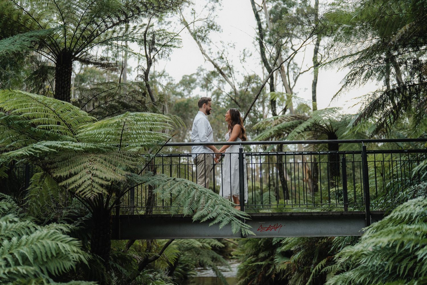 A couple stands on a metal bridge walkway surrounded by towering tree ferns in a rainforest setting.