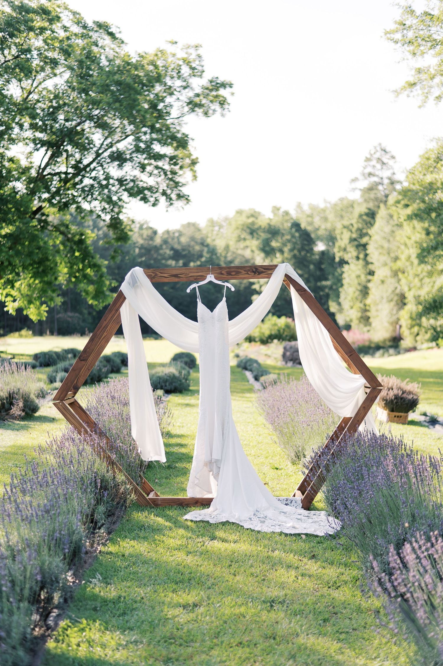 A flowing white wedding dress hangs on a wooden hexagon arch surrounded by blooming lavender in a sunny garden setting.