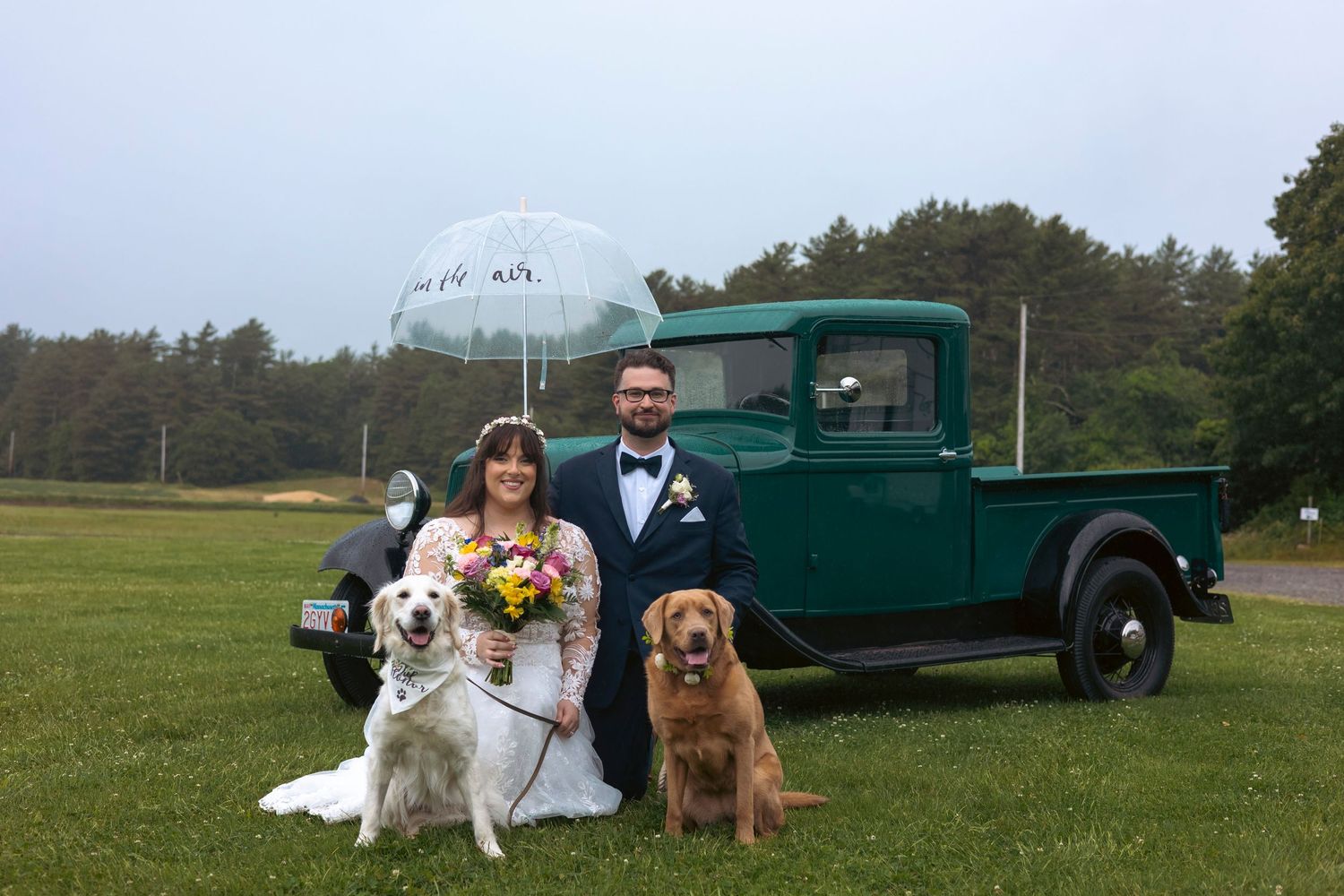 A vintage green truck is parked in a grassy field with dogs sitting nearby and a scenic landscape in the background.