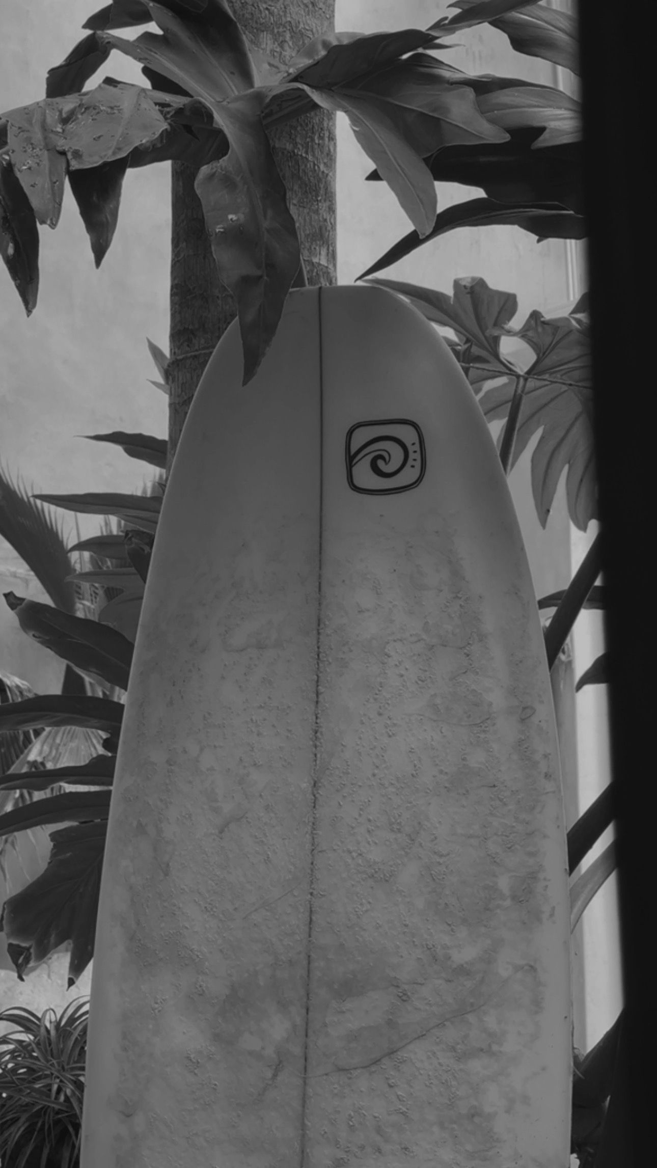 Surfista en Mexico