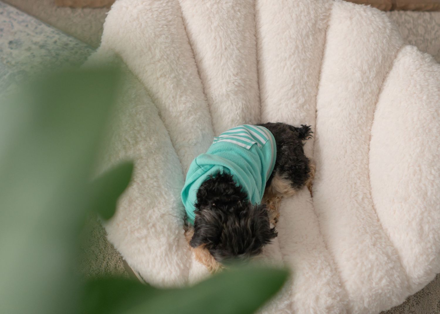 dog sleeping in a shell shaped chair