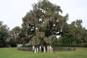 A panoramic collage showing ancient stone ruins nestled among majestic oak trees draped with Spanish moss.