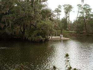 A serene lake view with Spanish moss hanging from trees and a small wooden dock extending over dark waters.