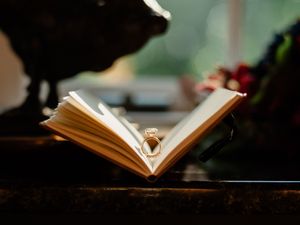 An open book with pages fanned out sits on a dark surface in soft sunlight creating a warm, intimate reading scene.