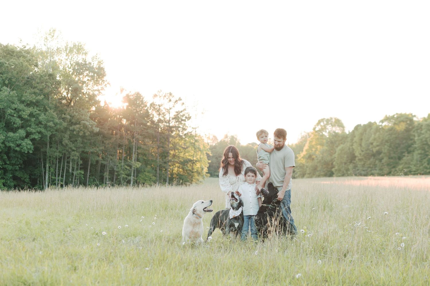 Family with two children and two dogs standing in a golden sunlit meadow.