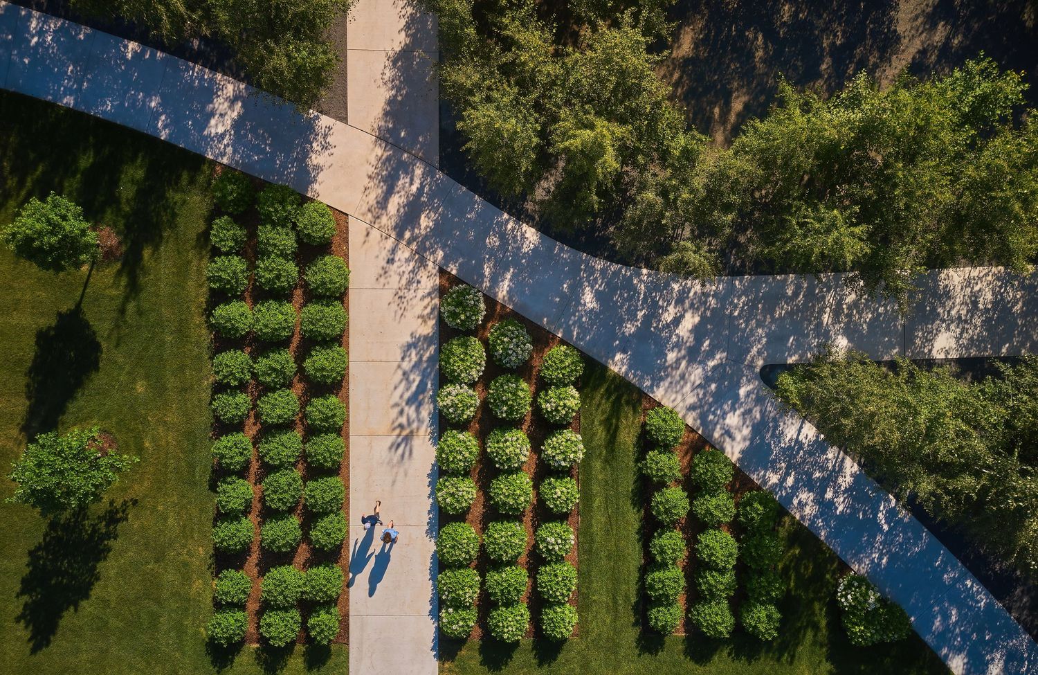 Aerial view of people walking along intersecting garden paths with manicured hedges and trees.