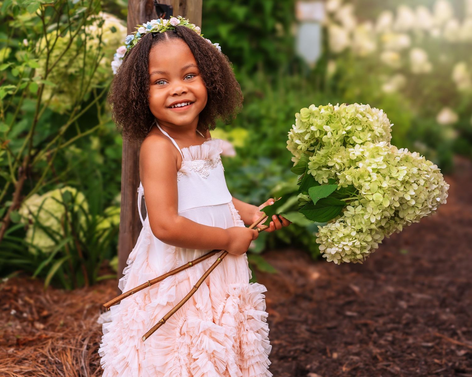 Little girl wearing a pink dress holding hydrangeas in a hydrangea garden
