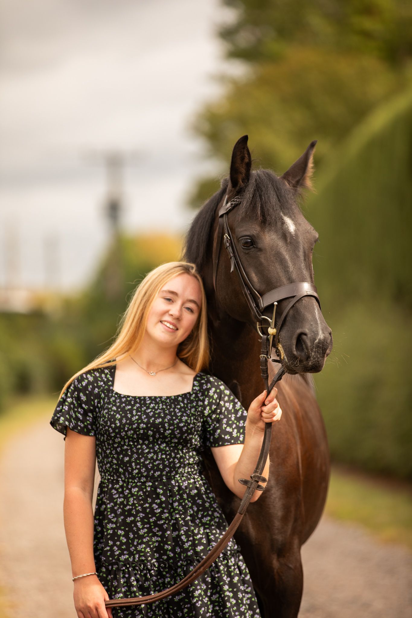 A brown horse and companion share tender moments in a sunlit garden surrounded by delicate white flowers and greenery.