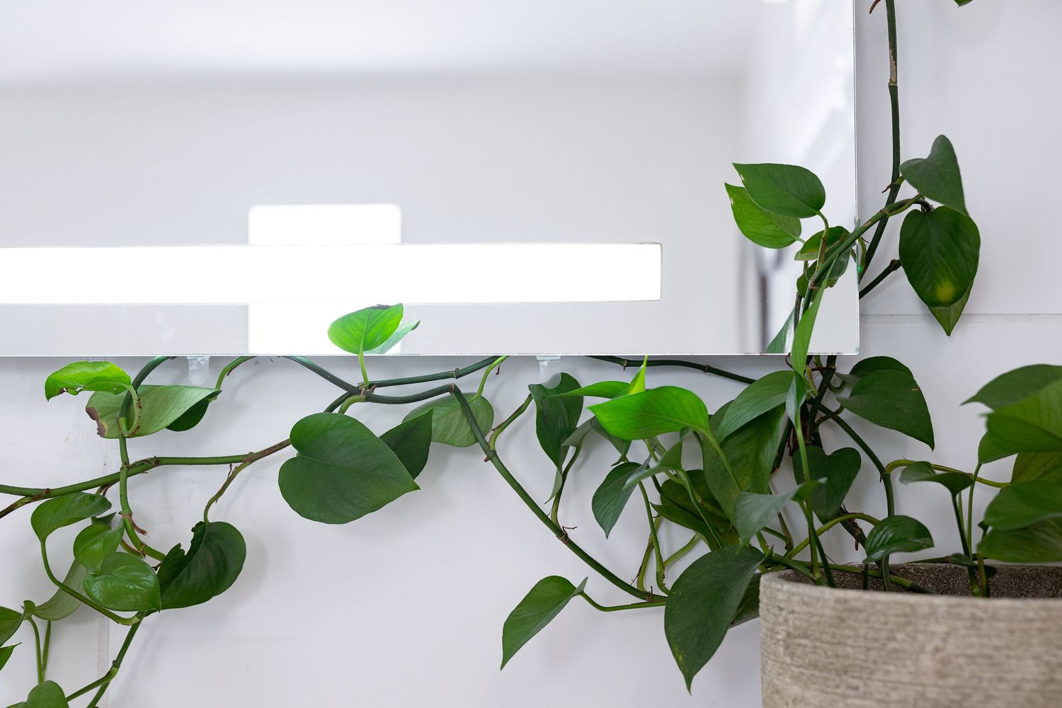 Professional and evocative Airbnb/short stay accommodation photography.