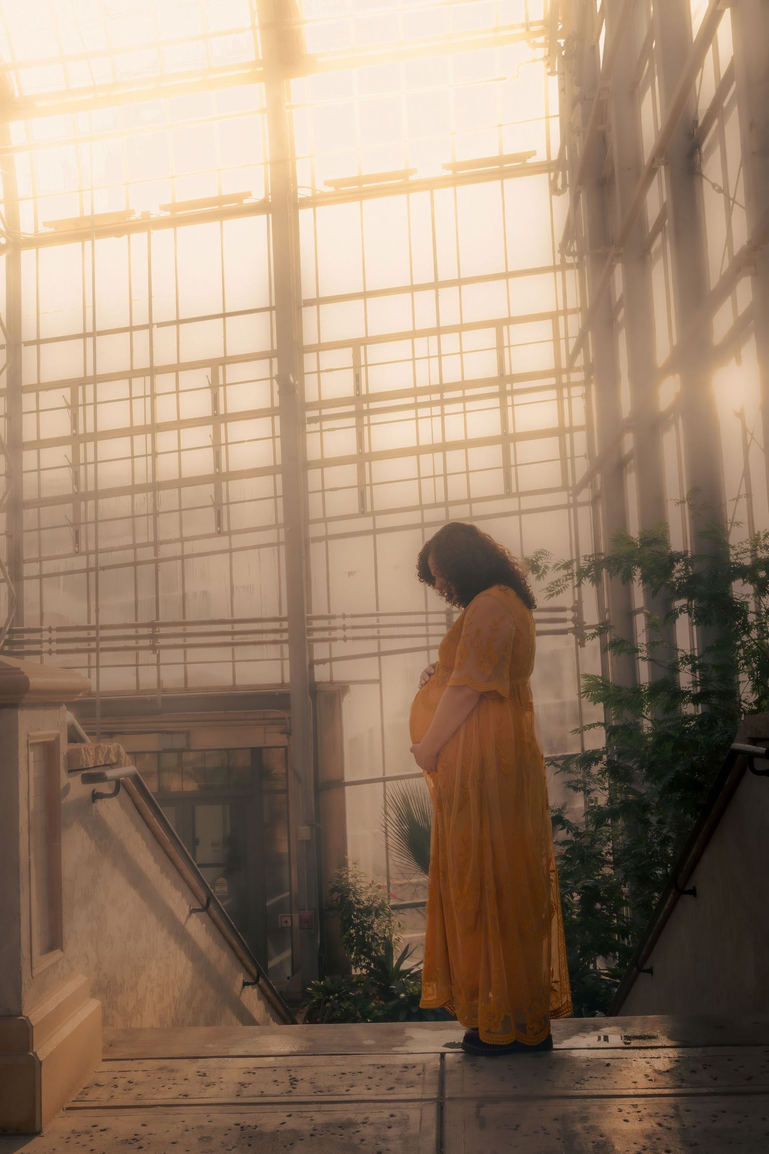 Hooded figures stand in a misty greenhouse with sunlight filtering through translucent walls creating an ethereal atmosphere.