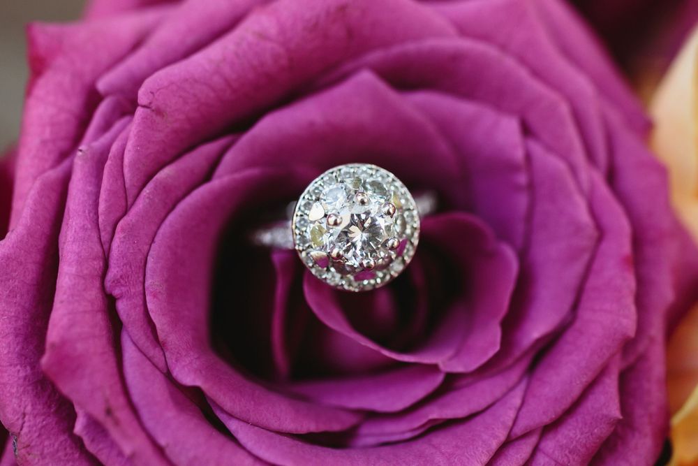 A sparkling diamond engagement ring nestled in the center of a deep purple rose bloom.