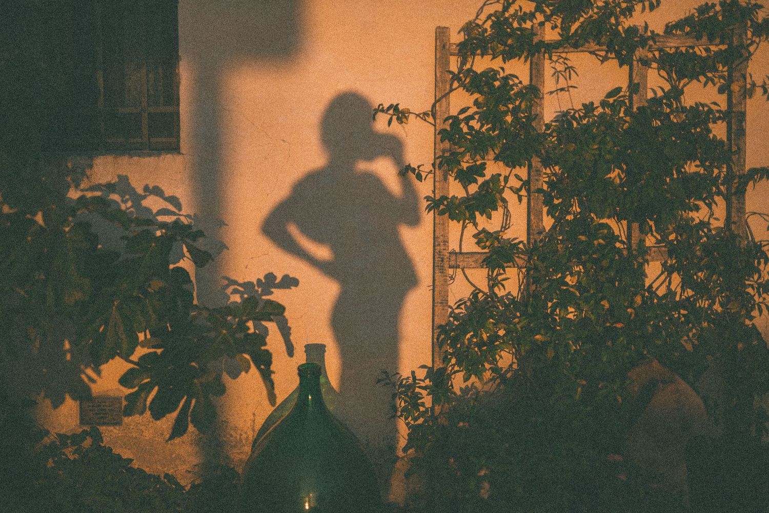 A silhouette cast on a wall at sunset shows a figure standing among leafy branches and a glass bottle.