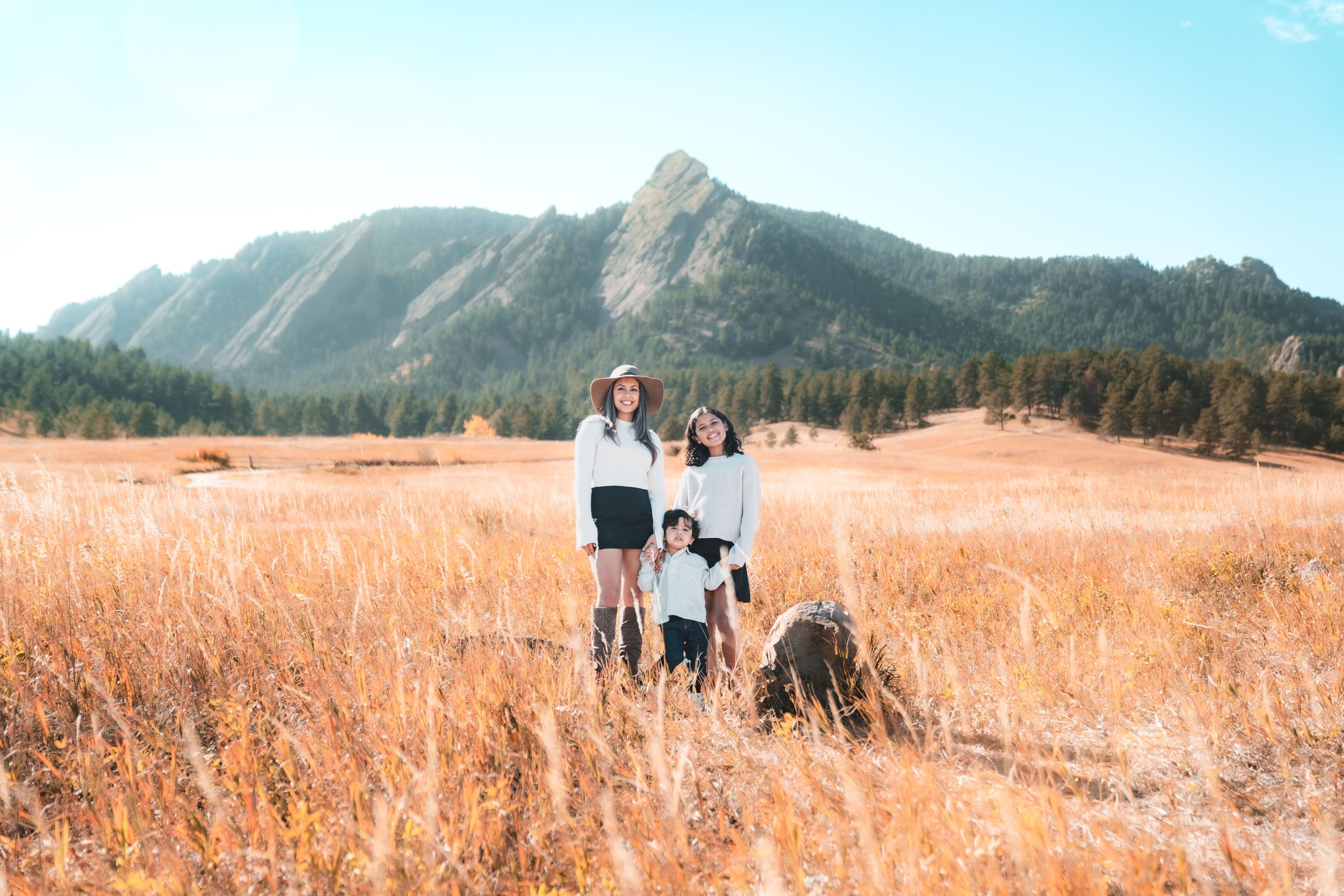 A panoramic view of people walking through golden wheat fields with mountains and forests in the background.