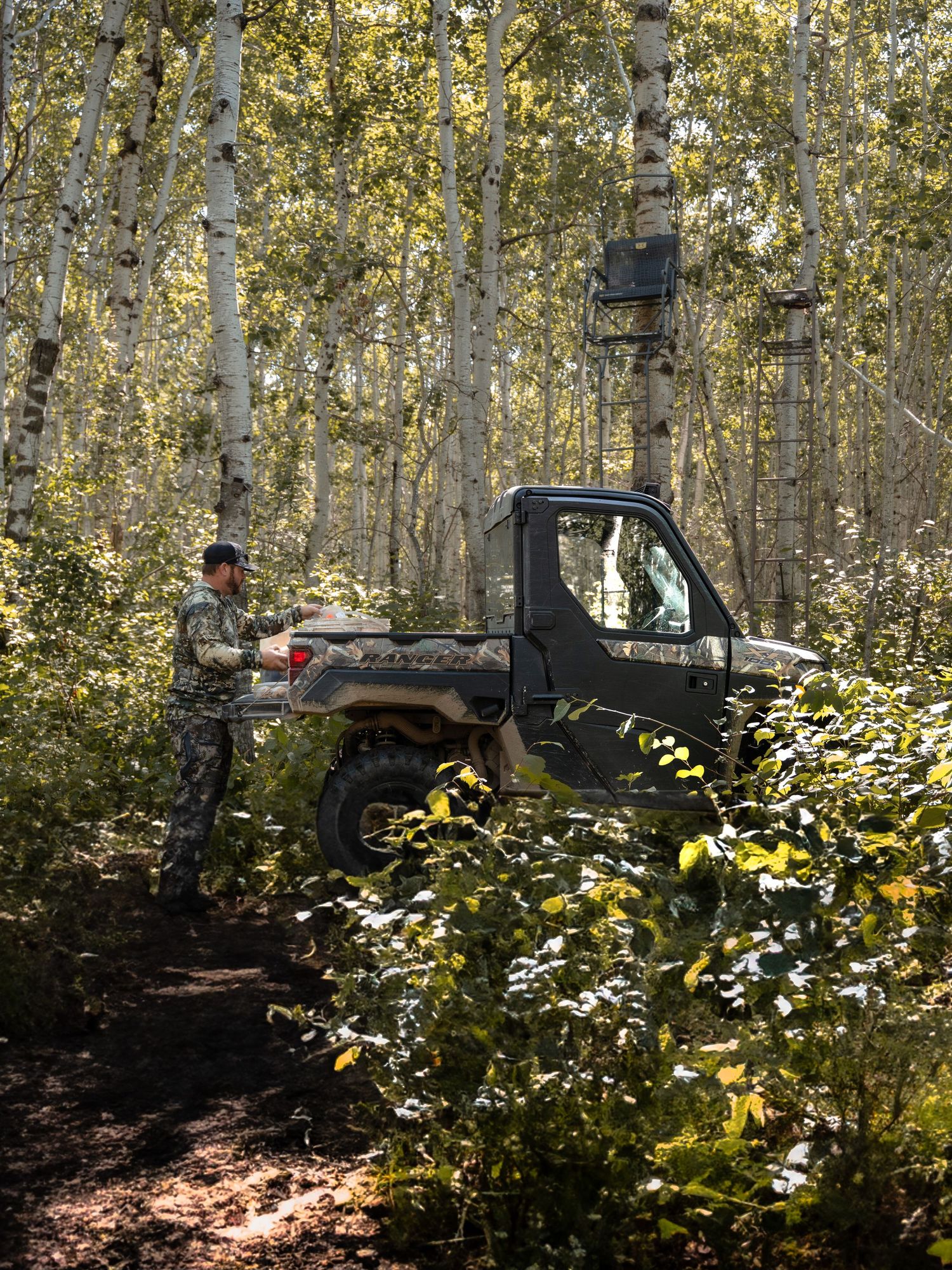 Pickup truck parked among golden aspen trees in a forest clearing.