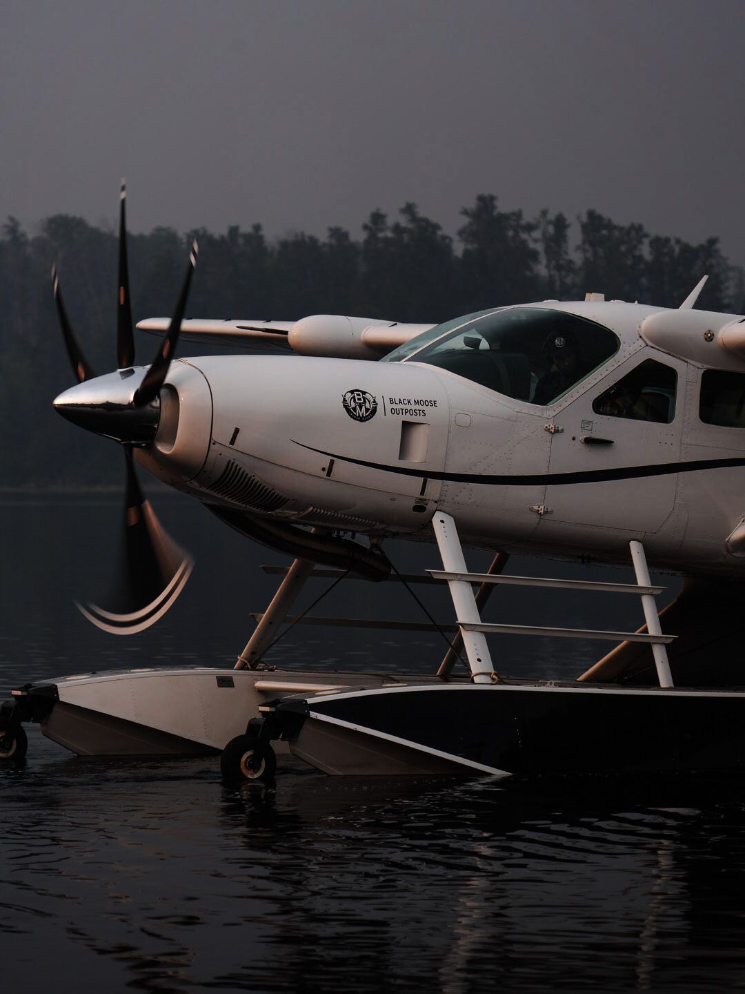 White seaplane floating on dark water during twilight hours.