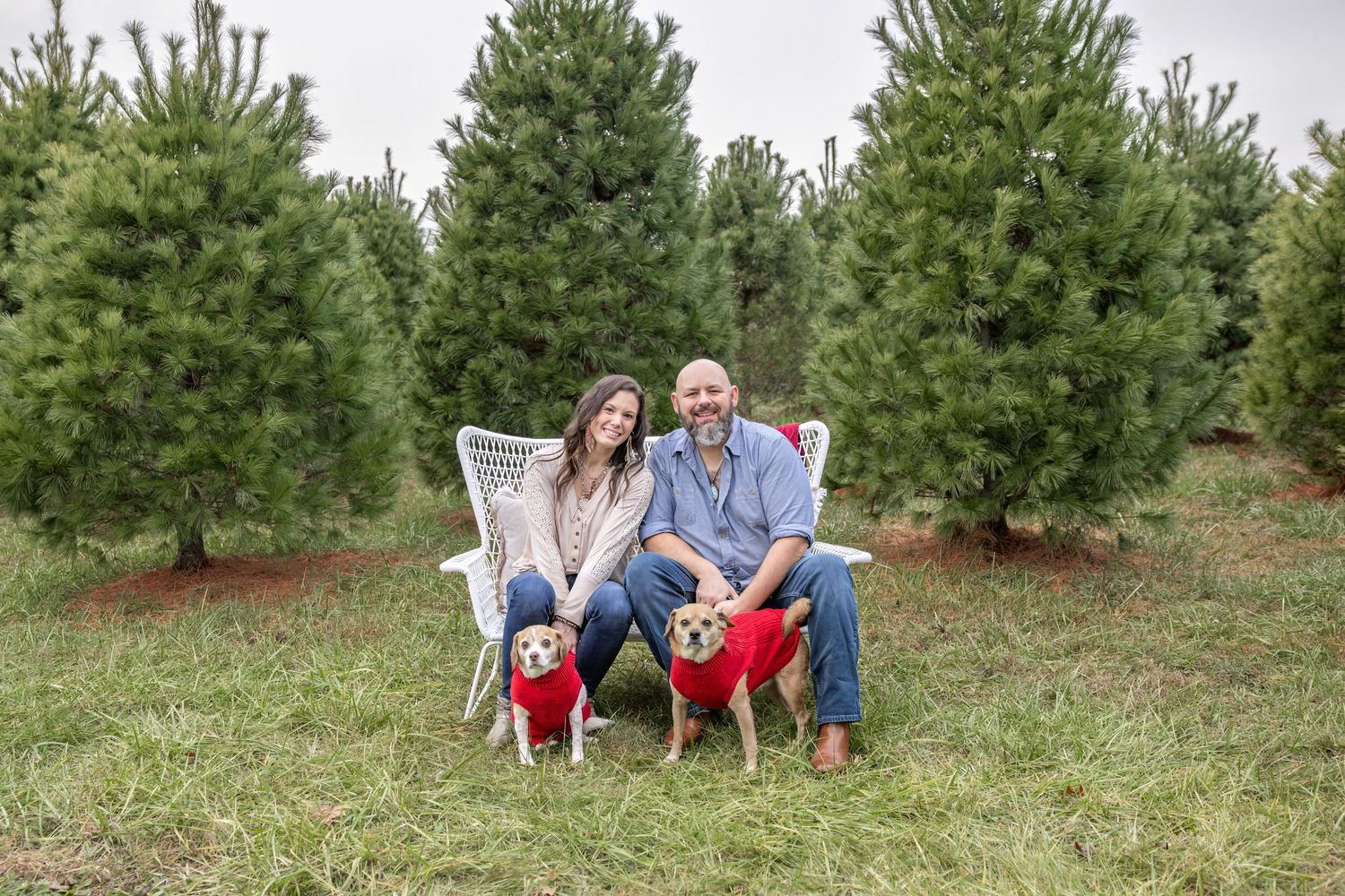 Springfield IL photographer Christmas mini family holiday photo session