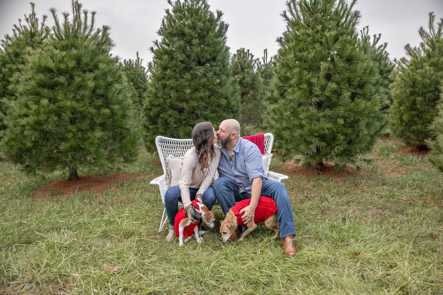 Springfield IL photographer Christmas mini family holiday photo session