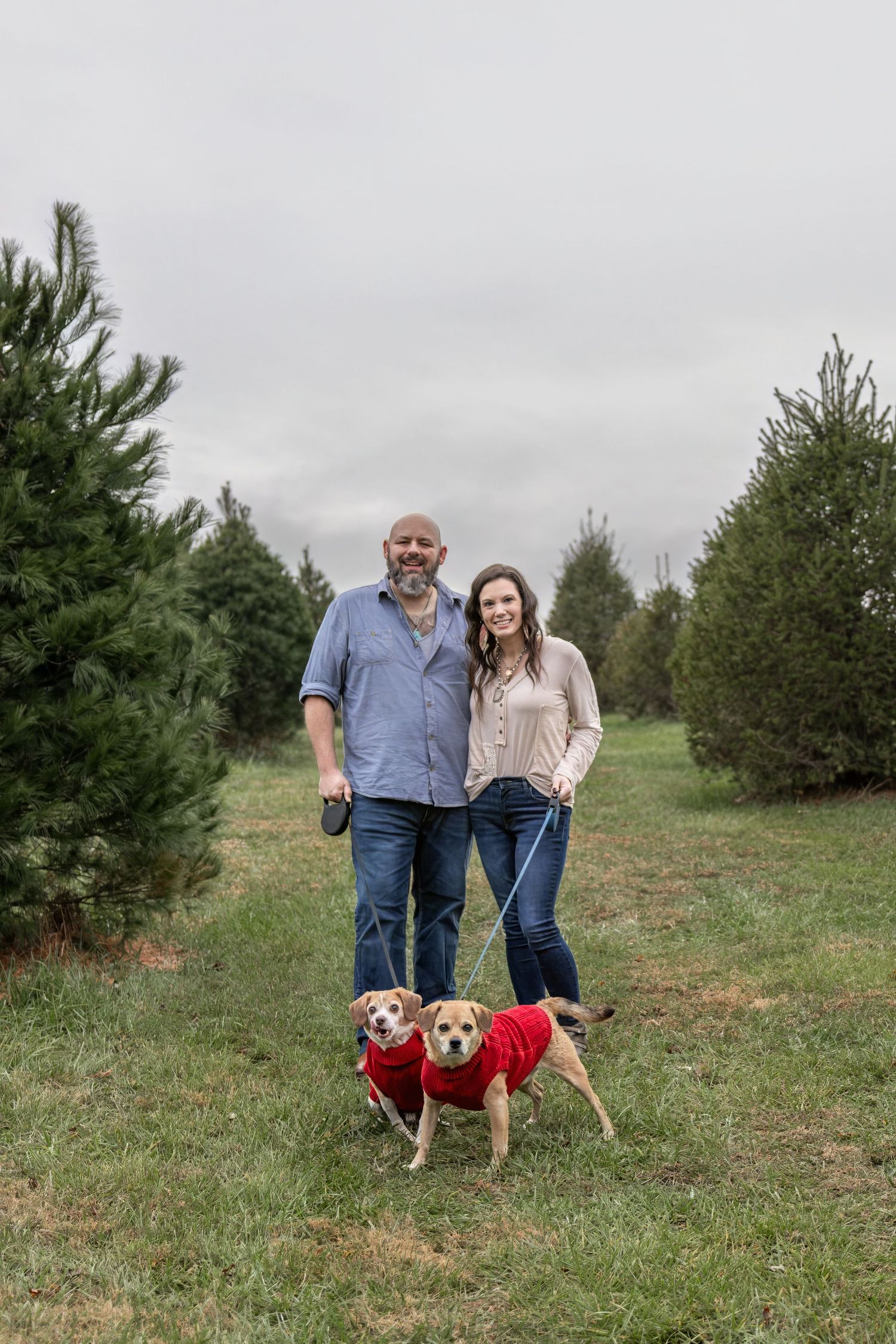 Springfield IL photographer Christmas mini family holiday photo session