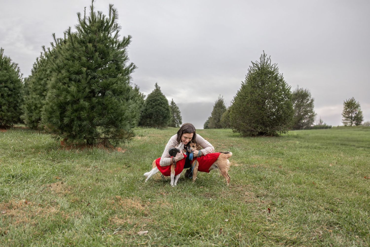Springfield IL photographer Christmas mini family holiday photo session