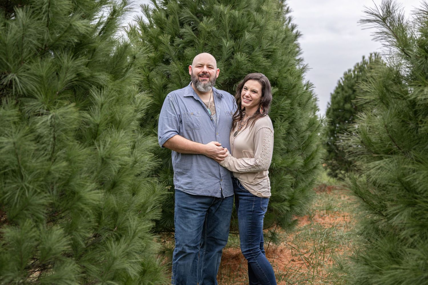 Springfield IL photographer Christmas mini family holiday photo session