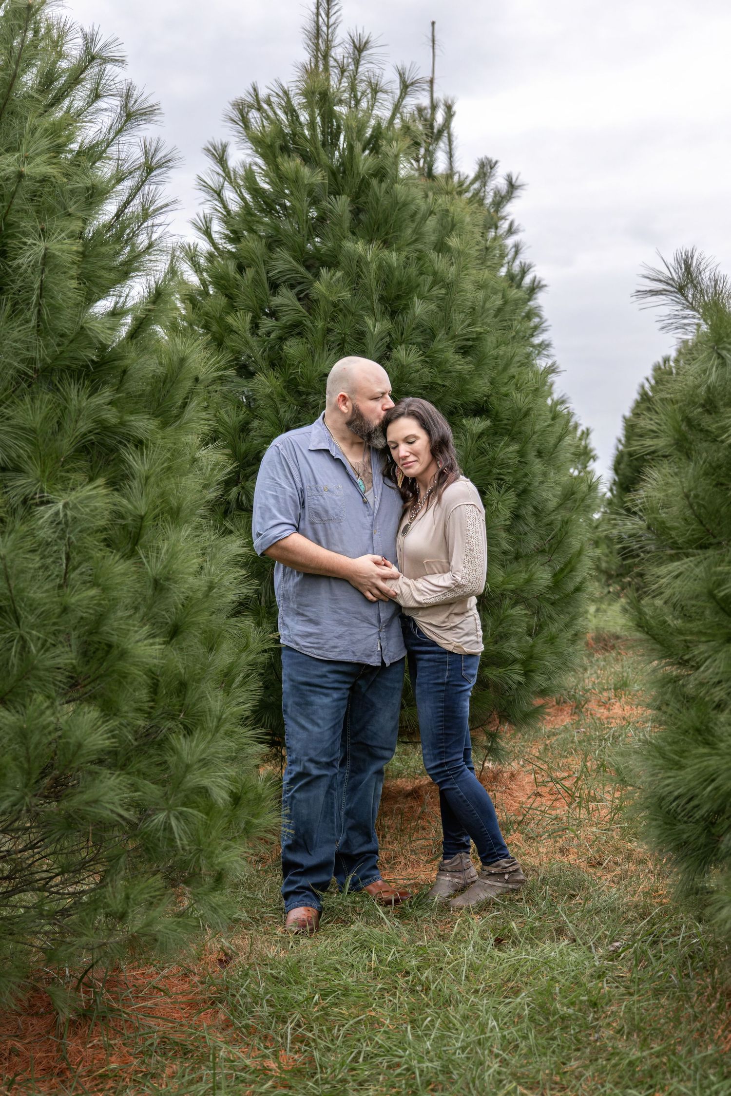 Springfield IL photographer Christmas mini family holiday photo session