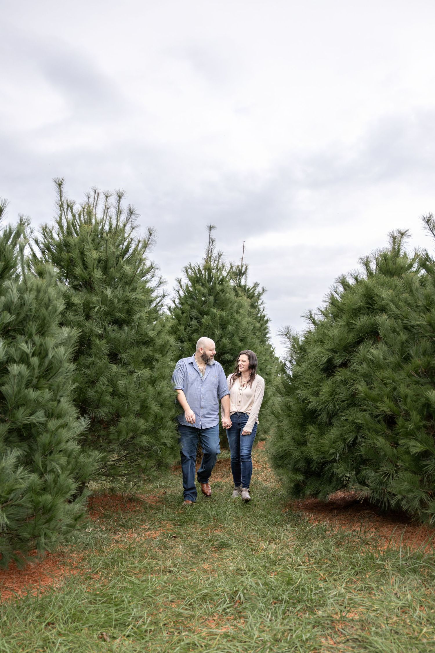 Springfield IL photographer Christmas mini family holiday photo session