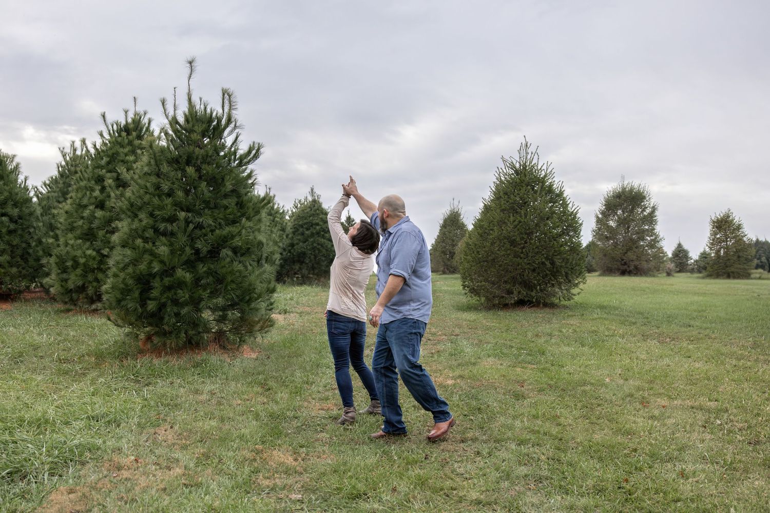 Springfield IL photographer Christmas mini family holiday photo session