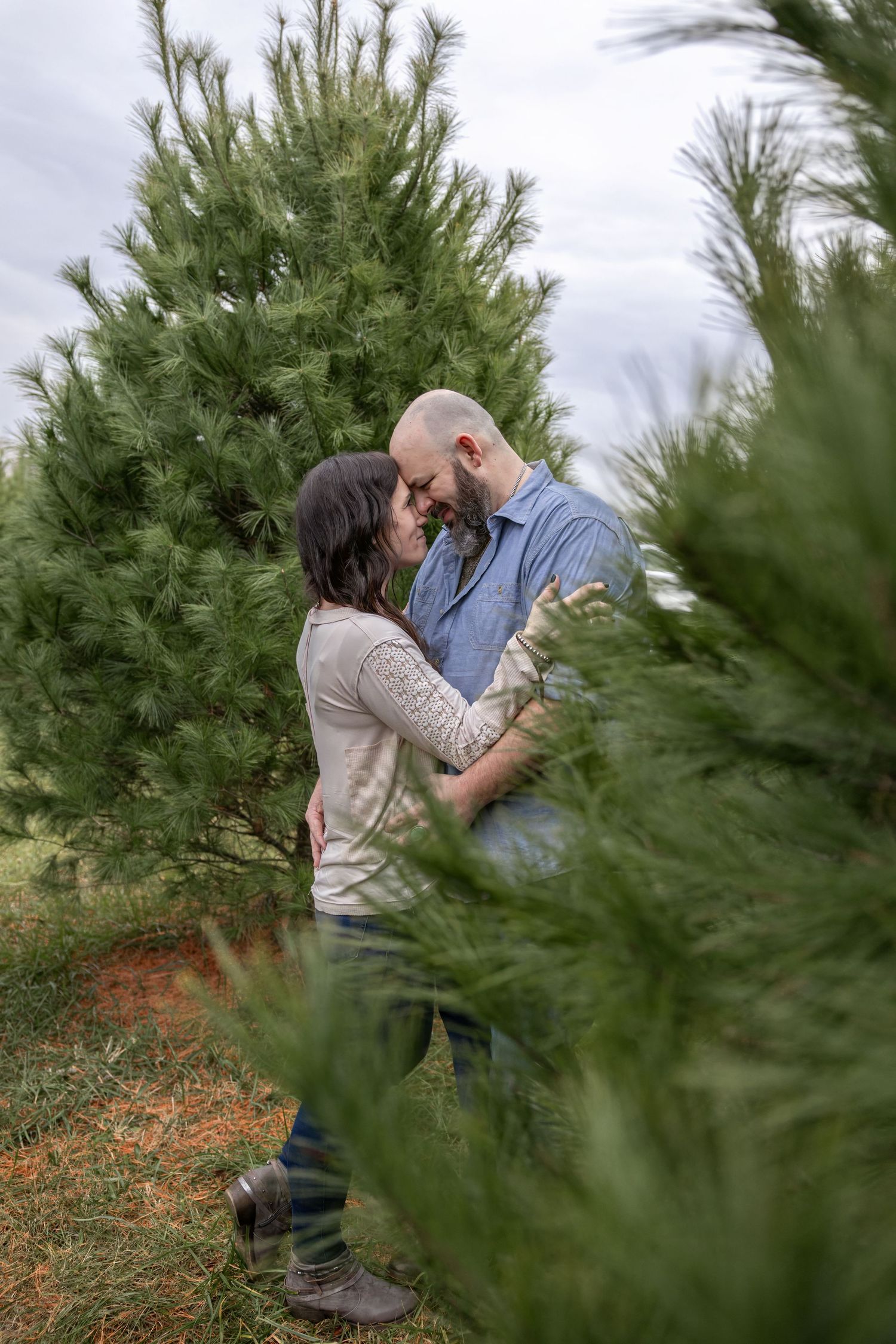 Springfield IL photographer Christmas mini family holiday photo session